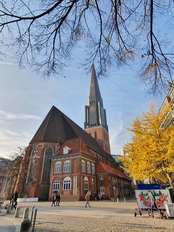 Merz Institute training