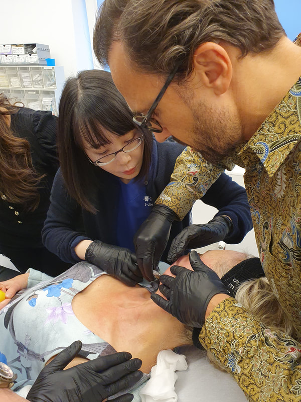 Merz Institute training